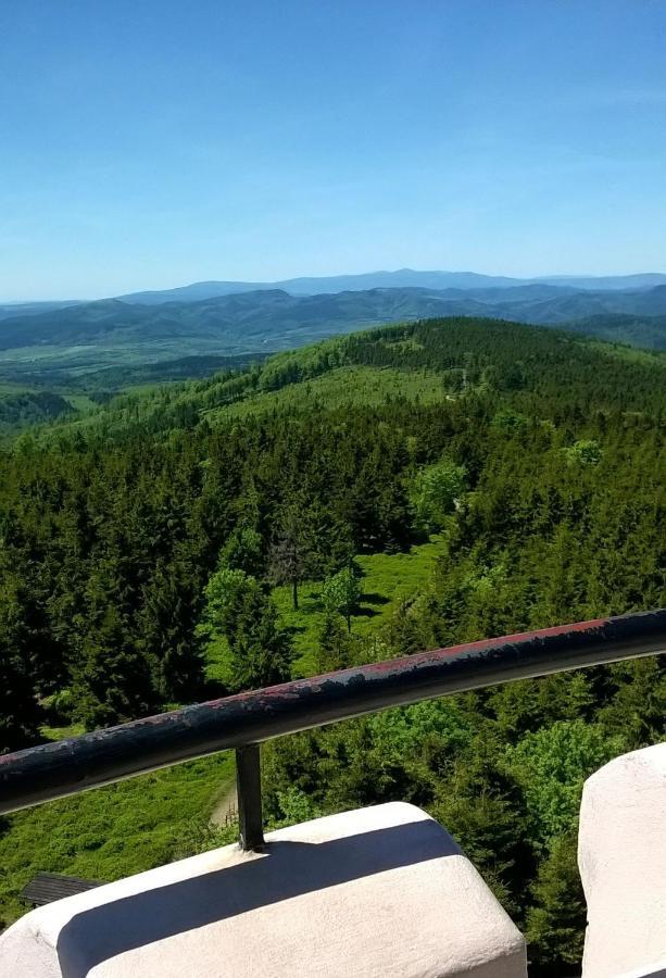 Minisowa Daire Jedlina-Zdroj Dış mekan fotoğraf