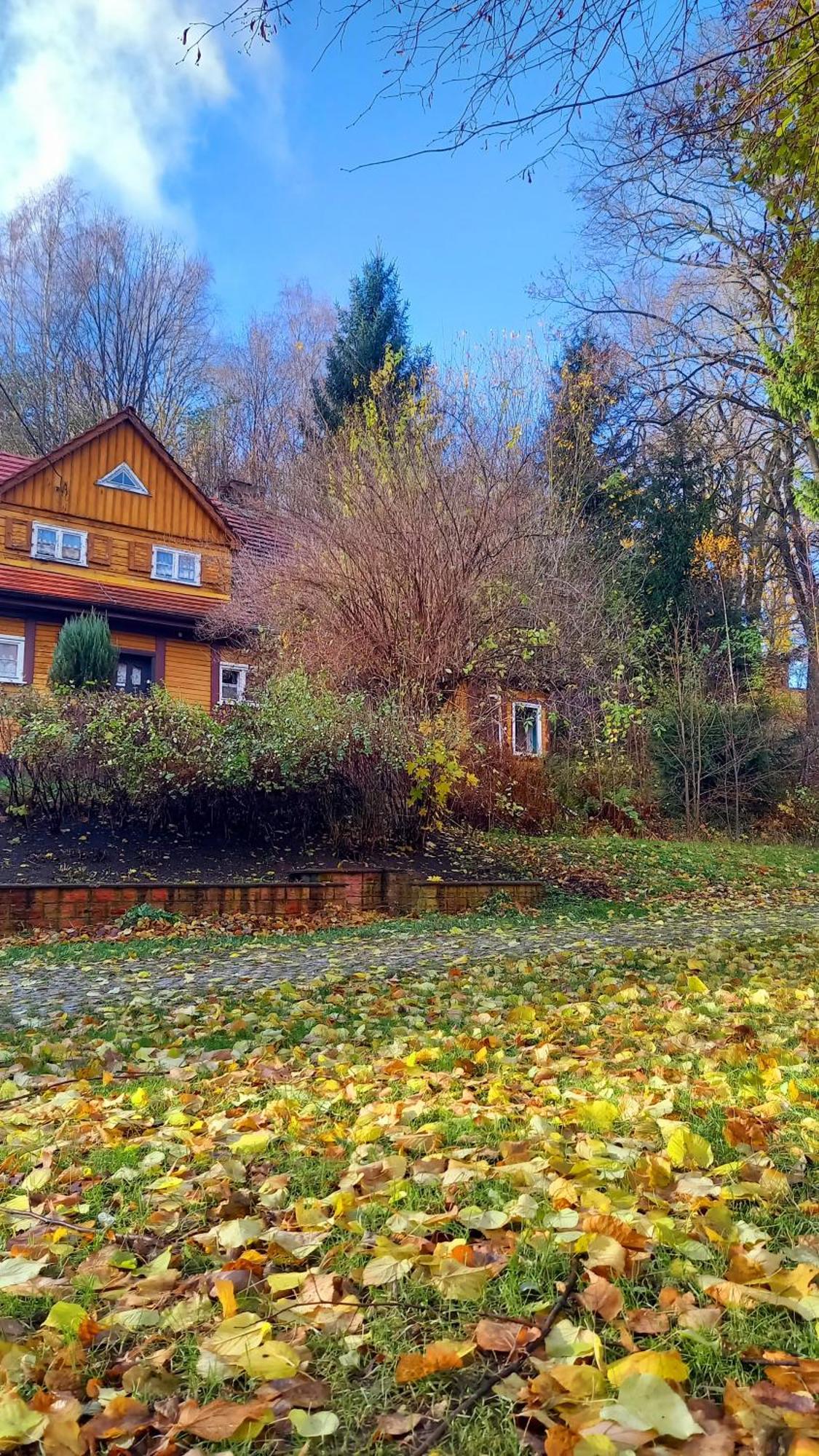 Minisowa Daire Jedlina-Zdroj Dış mekan fotoğraf